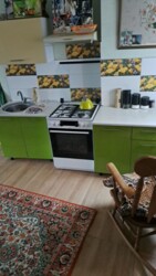 Продається будинок Плавнева, Запоріжжя, Запорізька, Комунарський фото 2 Продається будинок Плавнева, Запоріжжя, Запорізька, Комунарський фото 2