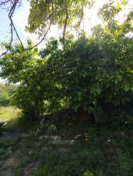 Продаж будинку по вулиці Теслярська фото 22 Продаж будинку по вулиці Теслярська фото 22