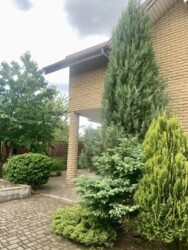 Продається будинок Молочна, Запоріжжя, Запорізька, Шевченківський фото 21 Продається будинок Молочна, Запоріжжя, Запорізька, Шевченківський фото 21