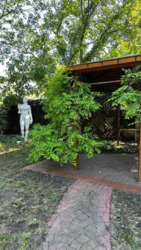 Розкішна Вілла 532м² ПЕРША ЛІНІЯ моря! Французький б-р, 15 соток фото 5 Розкішна Вілла 532м² ПЕРША ЛІНІЯ моря! Французький б-р, 15 соток фото 5