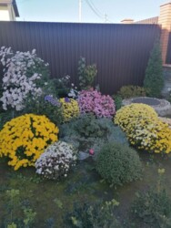 Продаж дуплекса фото 1 Продаж дуплекса фото 1