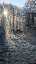 ��������� ������� ������, ����������, ³������� ���� 24