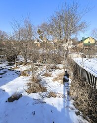 Продаж 1 поверхового будинку з гаражем і ділянкою на 5.2 сотки, 66.5 кв. м, 3 кімнати. фото 5 Продаж 1 поверхового будинку з гаражем і ділянкою на 5.2 сотки, 66.5 кв. м, 3 кімнати. фото 5