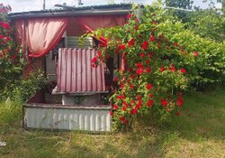 Продаж 1 поверхового будинку бесідка і ділянкою на 6 соток, 50 кв. м, 3 кімнати, на мас. Турбівський фото 10 Продаж 1 поверхового будинку бесідка і ділянкою на 6 соток, 50 кв. м, 3 кімнати, на мас. Турбівський фото 10