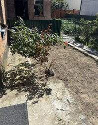 Продаж частини будинку фото 19 Продаж частини будинку фото 19