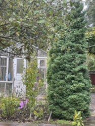 ��������� ������� ������, ����������, ³������� ���� 20