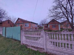 ��������� ������� ³�����, ³������� ���� 5