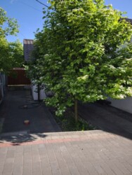 Продаєм 1 поверховий будинок з ділянкою 6.4 соток 123 кв.м 4 Кімнати. Написала повідомлення по розташуванню. фото 3 Продаєм 1 поверховий будинок з ділянкою 6.4 соток 123 кв.м 4 Кімнати. Написала повідомлення по розташуванню. фото 3