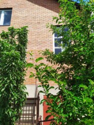 Продам 1/2 будинку. с. Вінницькі Хутори, Він. р-н, вул. Немирівська 46 фото 8 Продам 1/2 будинку. с. Вінницькі Хутори, Він. р-н, вул. Немирівська 46 фото 8