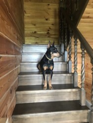 ��������� ������� ³�����, ³������� ���� 10