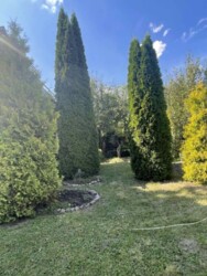 ��������� ������� ������, ����������, ³������� ���� 21