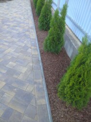 ������ �������, ���� ���� 10