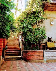 Продам жилий двоповерховий будинок, фото 9 Продам жилий двоповерховий будинок, фото 9