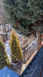 ��������� ������� ������, ����������, ³������� ���� 16