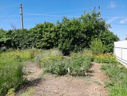 Будинок в Зарванцях 3к.6с. фото 14 Будинок в Зарванцях 3к.6с. фото 14
