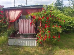 ������ 1 ����������� ������� ������ � ������� �� 6 �����, 55 ��. �, 3 ������, �� ���. ���������� ���� 10