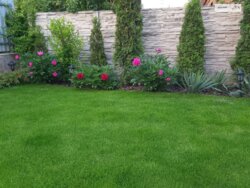 Продаж 1 поверхового будинку бесідка і ділянкою на 5.2 сотки, 70 кв. м, 3 кімнати, на вул. Василя Сильвестрова фото 19 Продаж 1 поверхового будинку бесідка і ділянкою на 5.2 сотки, 70 кв. м, 3 кімнати, на вул. Василя Сильвестрова фото 19