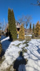 ��������� ������� ������, ����������, ³������� ���� 17