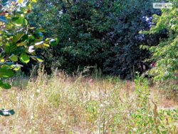 Продається будинок Вінниця, Вінницька, Ленінський фото 16 Продається будинок Вінниця, Вінницька, Ленінський фото 16