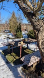 ��������� ������� ������, ����������, ³������� ���� 18