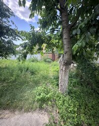 Продаж 2 поверхового будинку з ділянкою на 4 сотки, 51.8 кв. м фото 11 Продаж 2 поверхового будинку з ділянкою на 4 сотки, 51.8 кв. м фото 11