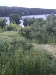 Продається дерев’яний будинок. Біля ставка. фото 10 Продається дерев’яний будинок. Біля ставка. фото 10