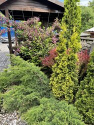 Продаж частини будинку по вул. Данила Нечая, 4 кімнати фото 18 Продаж частини будинку по вул. Данила Нечая, 4 кімнати фото 18