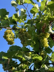 Продам будинок (дуплекс) у місті Вінниця. фото 23 Продам будинок (дуплекс) у місті Вінниця. фото 23