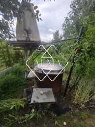 ������ ���������� ������� � ��� �������� ���� 12