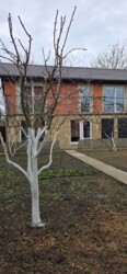 Продається два будинки на одній земельній ділянці. фото 5 Продається два будинки на одній земельній ділянці. фото 5