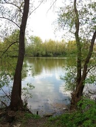 Продається будинок у мальовничому та спокійному місці — селі Конищів. Під капітальний ремонт. фото 1 Продається будинок у мальовничому та спокійному місці — селі Конищів. Під капітальний ремонт. фото 1