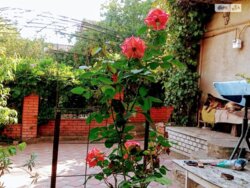 Продається будинок Вінниця, Вінницька, Ленінський фото 14 Продається будинок Вінниця, Вінницька, Ленінський фото 14