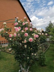 Продам дом. Новый. С ремонтом, с мебелью (по договорённости). фото 18 Продам дом. Новый. С ремонтом, с мебелью (по договорённости). фото 18