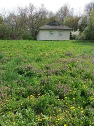 Продається будинок у мальовничому та спокійному місці — селі Конищів. Під капітальний ремонт. фото 3 Продається будинок у мальовничому та спокійному місці — селі Конищів. Під капітальний ремонт. фото 3