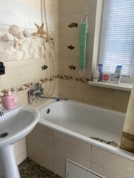 ������ �������, ³�����, ������� ���� 10