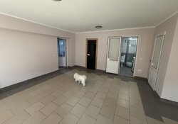 Продаж 1 поверхового будинку з ділянкою на 4.5 сотки, 205 кв. м, 3 кімнати. Біля костелу ліва сторона. фото 8 Продаж 1 поверхового будинку з ділянкою на 4.5 сотки, 205 кв. м, 3 кімнати. Біля костелу ліва сторона. фото 8