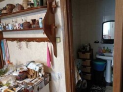 ������ �������� ������� ���� 19