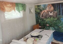 Продаж 1 поверхового будинку бесідка і ділянкою на 6 соток, 50 кв. м, 3 кімнати, на мас. Турбівський фото 5 Продаж 1 поверхового будинку бесідка і ділянкою на 6 соток, 50 кв. м, 3 кімнати, на мас. Турбівський фото 5