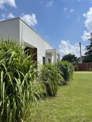 ������� ������������ ���� � ������� ��������� ���� 21