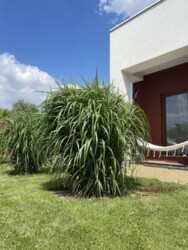 ������� ������������ ���� � ������� ��������� ���� 20