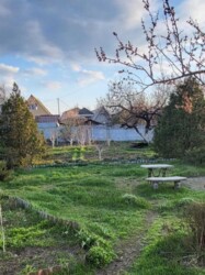 Продаж будинку Одеська фото 15 Продаж будинку Одеська фото 15