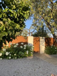 ������� ������������ ���� � ������� ��������� ���� 5