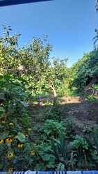 Продам будинок на Фонтані фото 14 Продам будинок на Фонтані фото 14