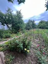 Продаж житлового будинку в Гречанах, вул. Болохівська — район костелу фото 13 Продаж житлового будинку в Гречанах, вул. Болохівська — район костелу фото 13