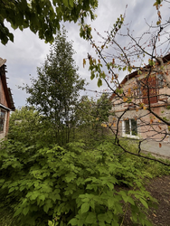 Продаж будинку в м. Волочиськ фото 16 Продаж будинку в м. Волочиськ фото 16