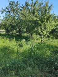 Продаж цегляного будинку в хорошому житловому стані | 58 000 $ фото 13 Продаж цегляного будинку в хорошому житловому стані | 58 000 $ фото 13