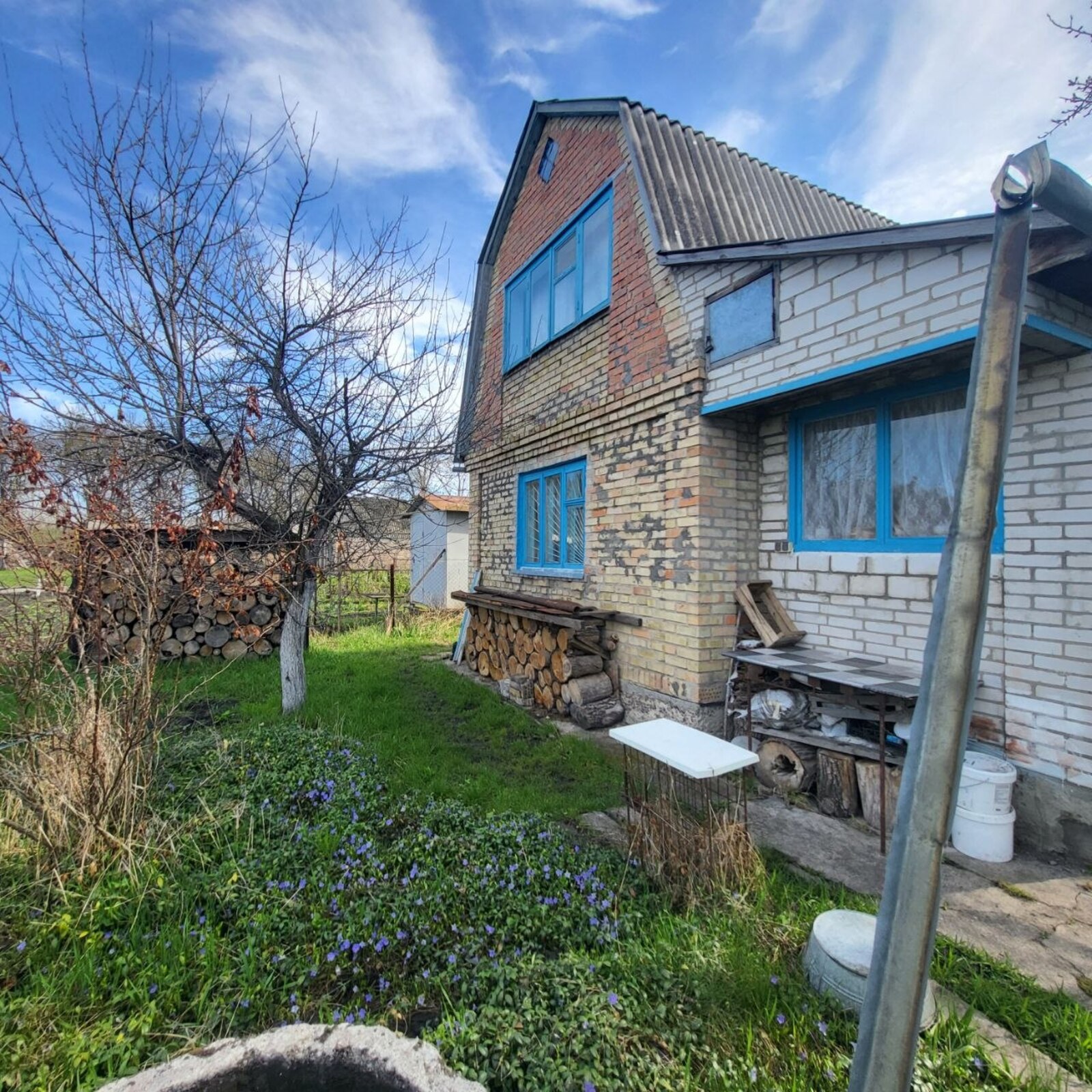 ������ ���� �� ' ������������� ' ���� 1