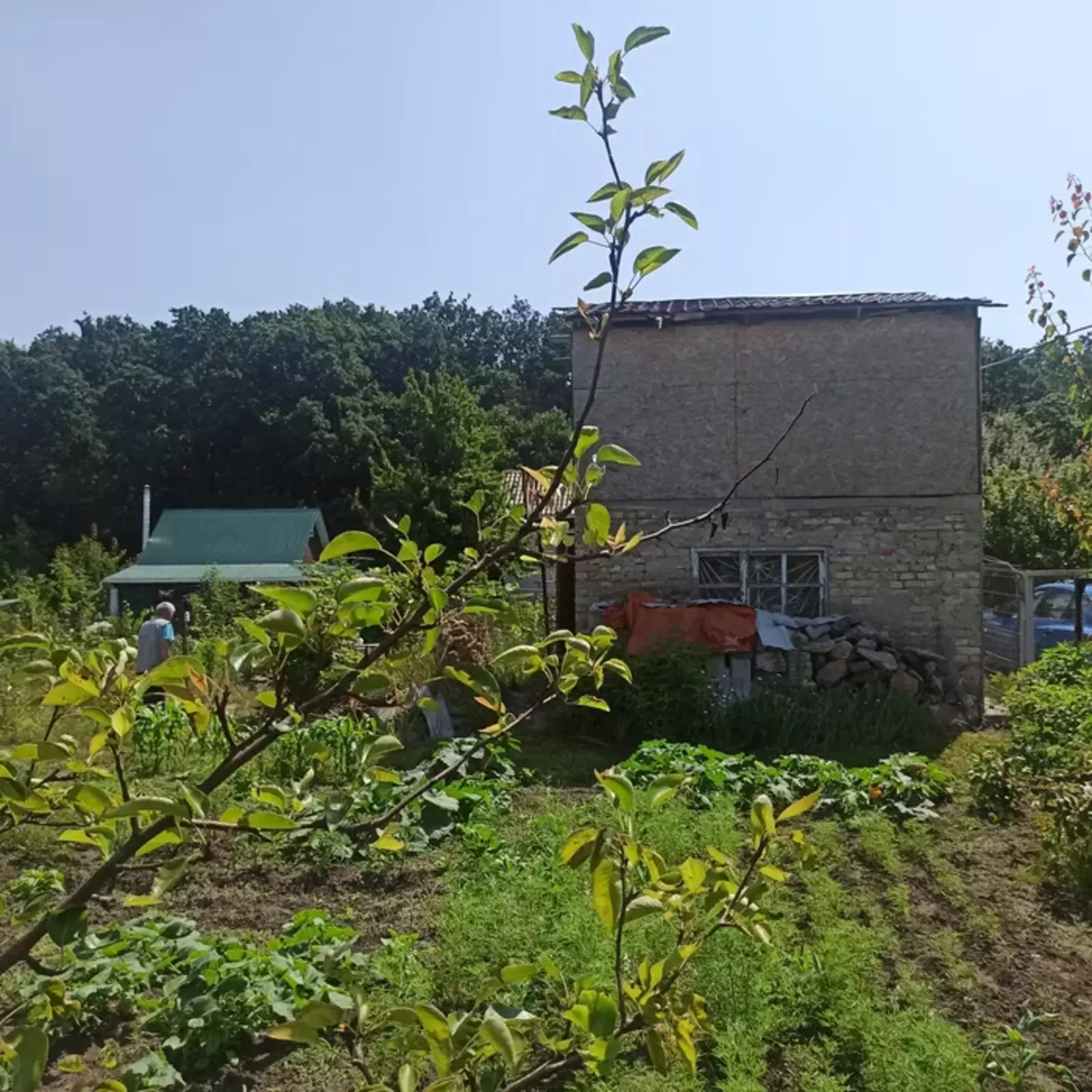 Продаж дачного будинок у кооперативі ,,Фіаніт,, фото 1 Продаж дачного будинок у кооперативі ,,Фіаніт,, фото 1