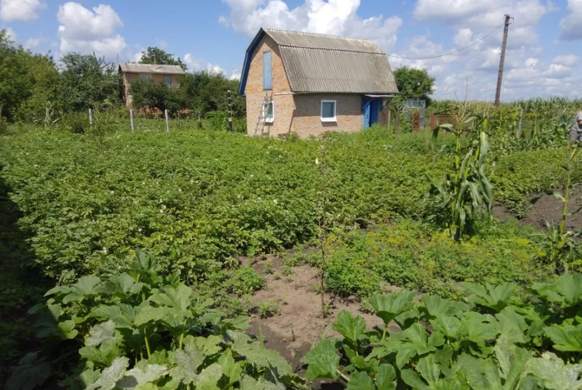 Продаж дачі хутір Черкас фото 1 Продаж дачі хутір Черкас фото 1