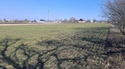 ������ �������, �.������ ���� 6